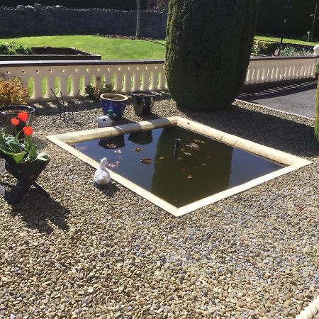 Weir View Bed And Breakfast Durrow Bagian luar foto
