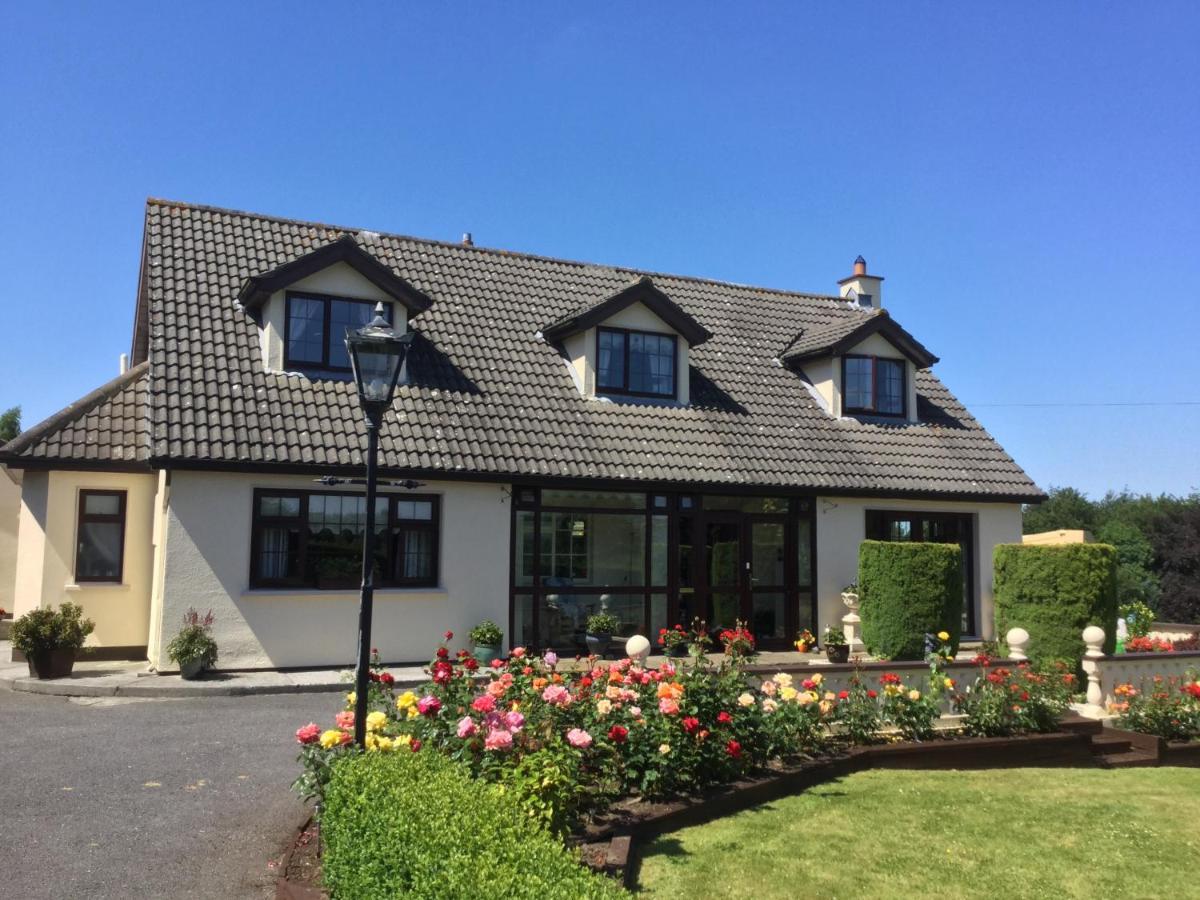 Weir View Bed And Breakfast Durrow Bagian luar foto