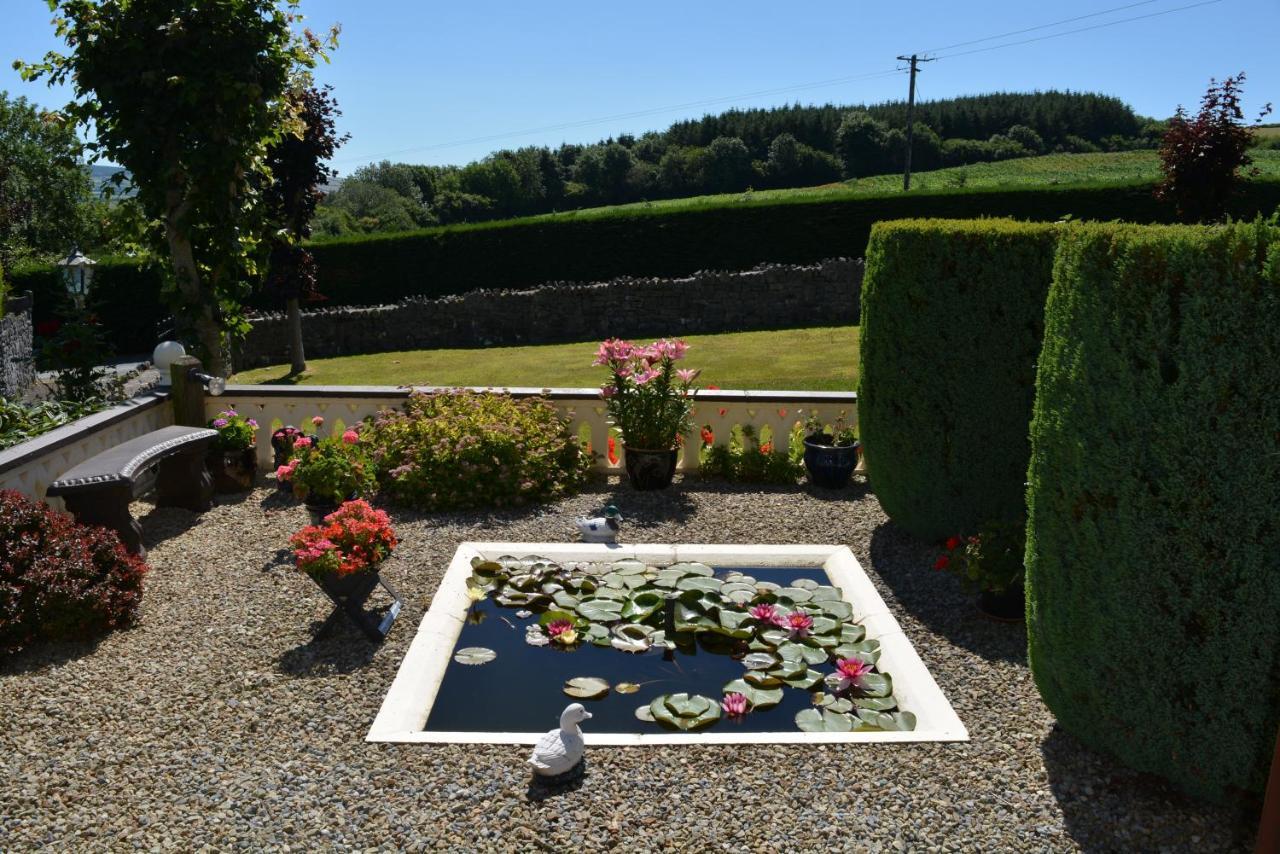 Weir View Bed And Breakfast Durrow Bagian luar foto